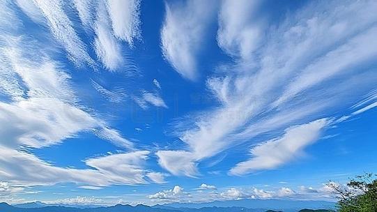 蓝天视频下载去广告缩略图