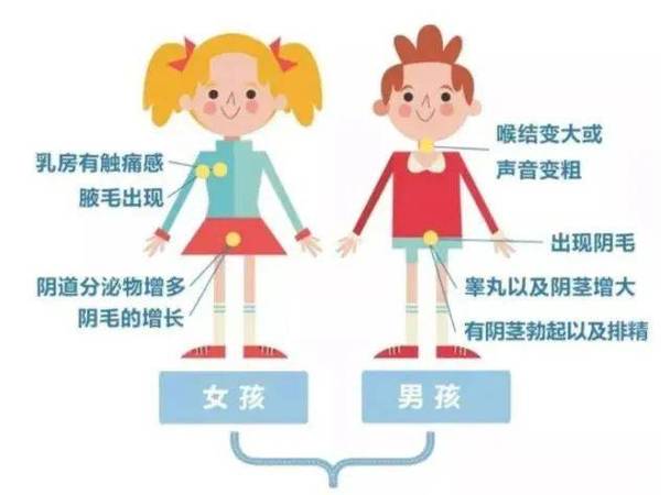 稚子指男孩还是女孩