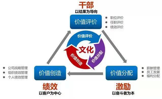 ceo和CEO的区别