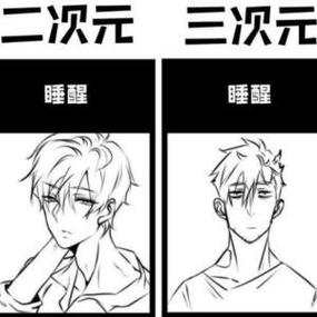 二次元和三次元什么意思