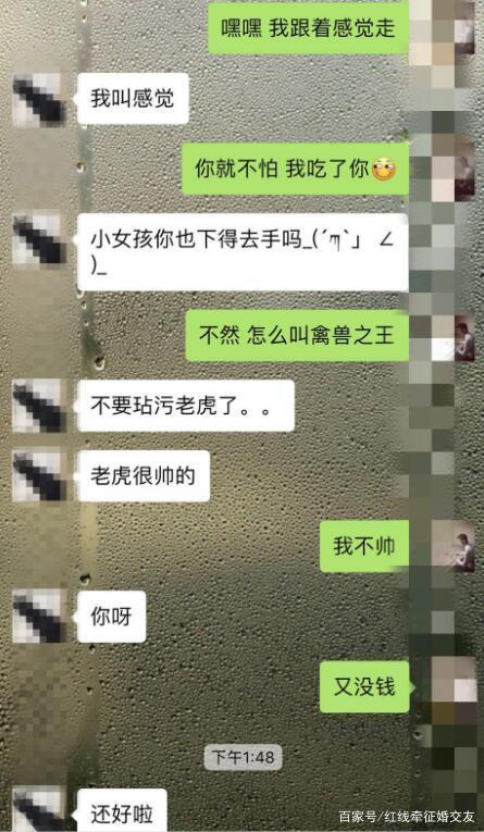 撩女孩的聊天记录游戏截图