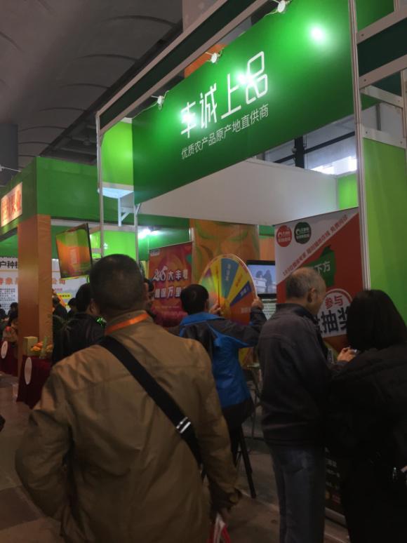 丰诚上品游戏截图