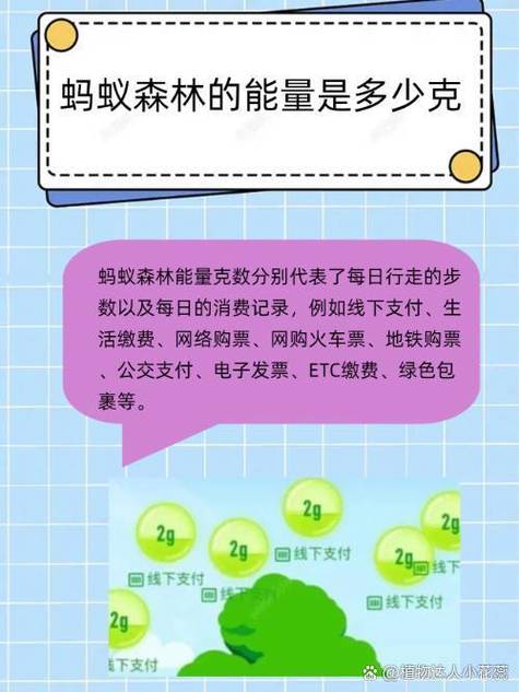 蚂蚁森林 行走能量