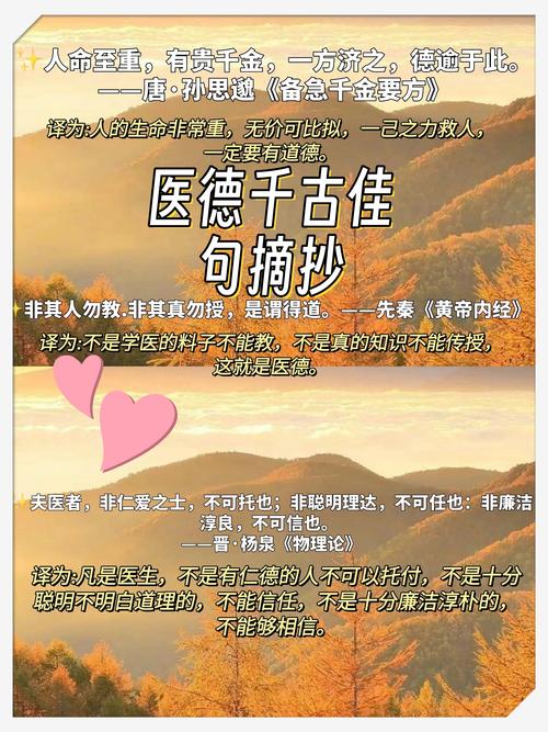 医德v3.2汉化下载缩略图