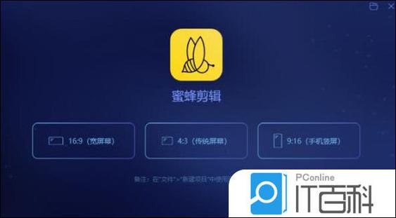 蜜蜂视频永久ViP