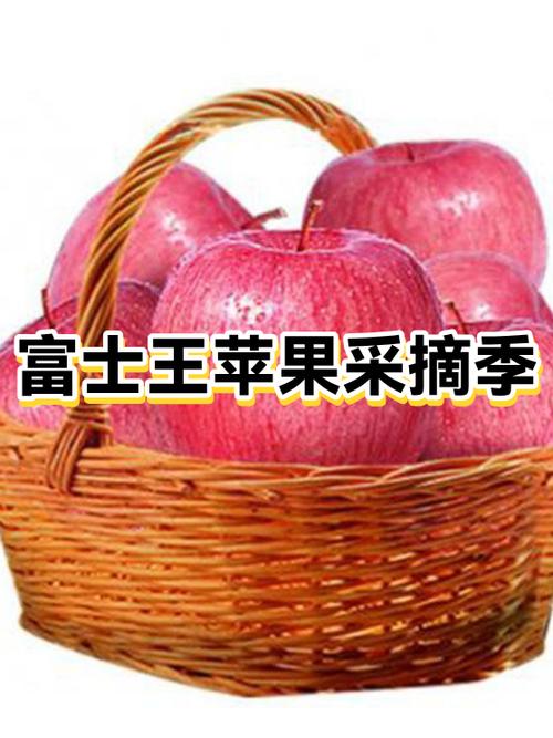 截图王苹果版免费缩略图