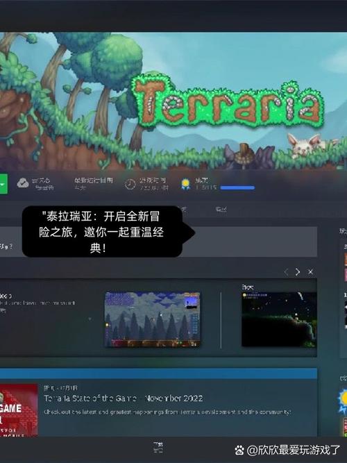 泰拉瑞亚手机可以和电脑联机吗缩略图