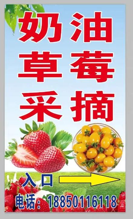 附近的草莓园在哪里