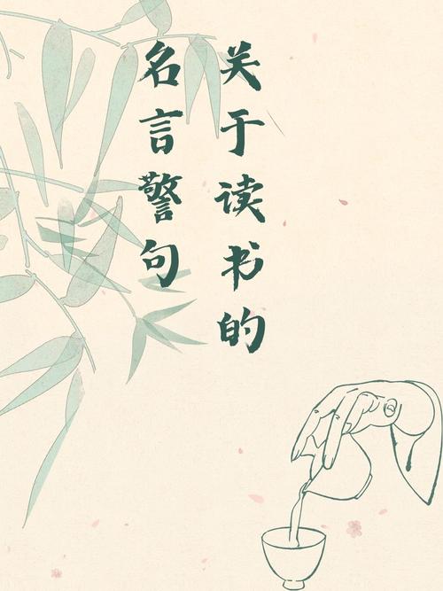悦言阅读缩略图