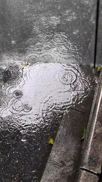 雨天视频素材无水印