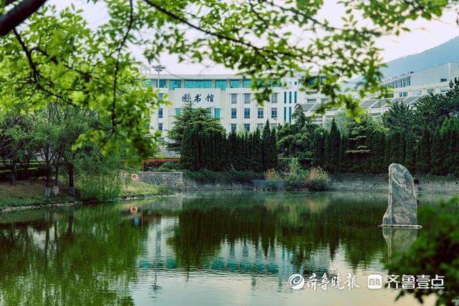大学高清完整版在线观看