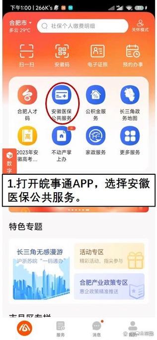 安徽医保公共服务平台缩略图