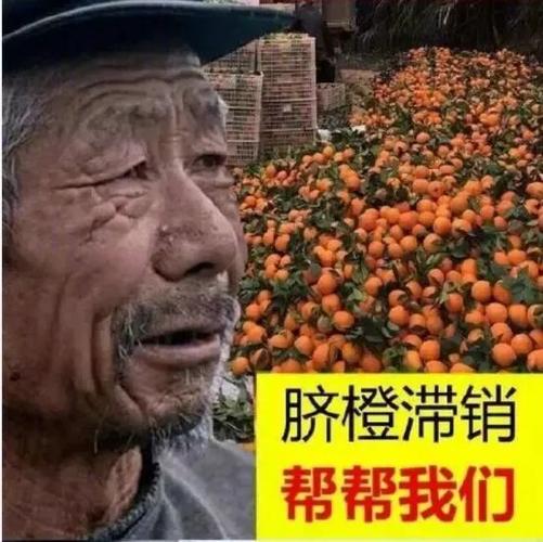 网红帮帮靠谱吗游戏截图