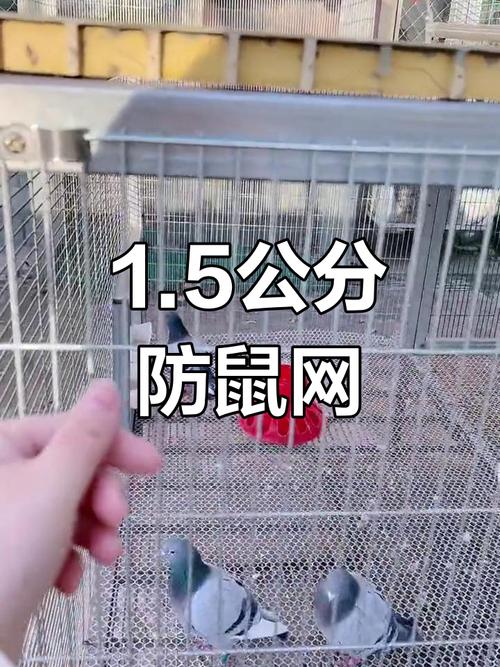 安装田鼠网游戏截图