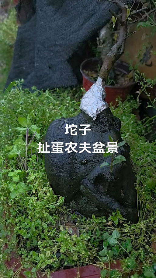 坨子旧版本