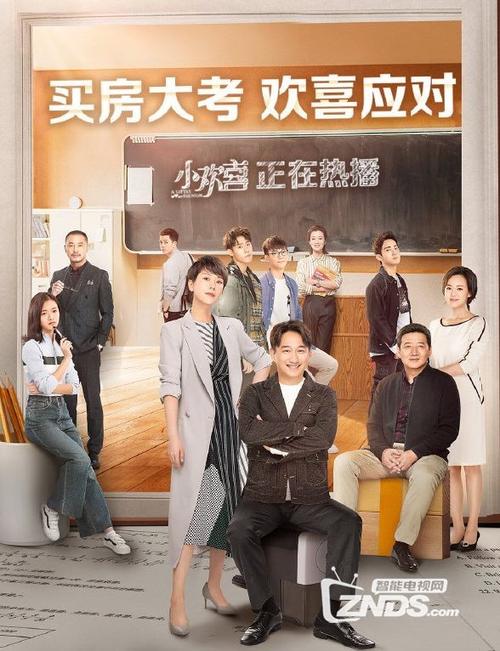 小欢喜首播缩略图