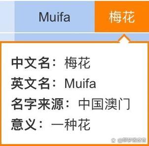 梅花app改名后叫什么名字