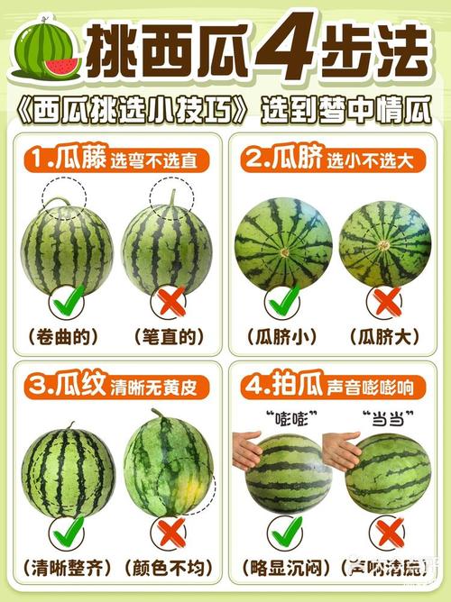 西瓜视频100西瓜币值多少钱
