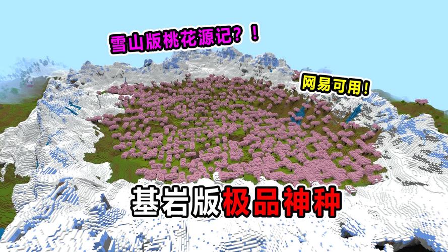 我的世界网易版全地形种子缩略图