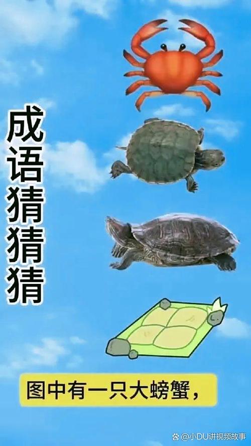 谜语猜猜猜的全部答案