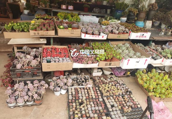 义乌花卉市场营业时间缩略图