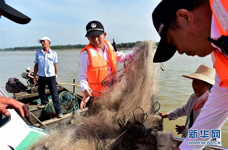 玩捕鱼机赌博怎么处理缩略图