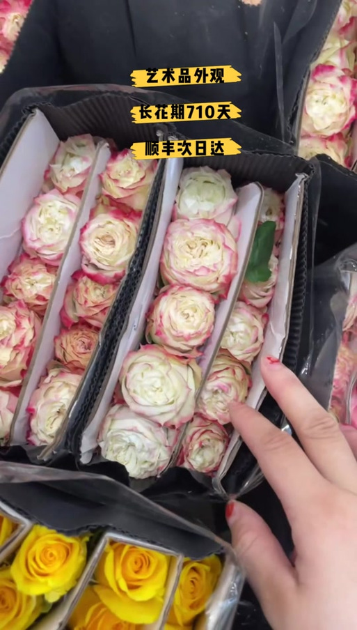 顺丰快递可以寄鲜花吗