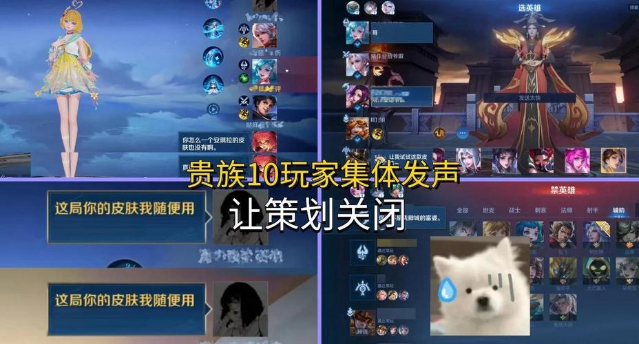 贵族10皮肤共享规则缩略图