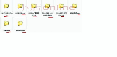 u盘病毒隐藏文件恢复缩略图