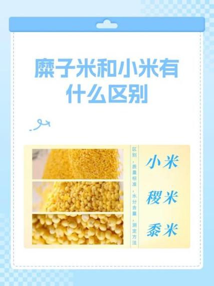 小米和粟米有什么区别