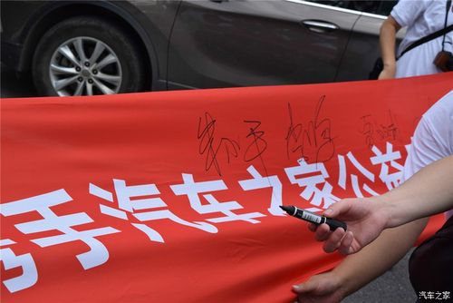 跨越中国公益检测游戏截图