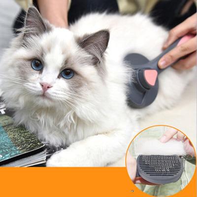 小猫世界APP的邀请码缩略图