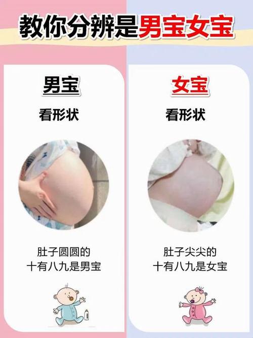 怀女宝胖的多还是怀男宝胖的多缩略图