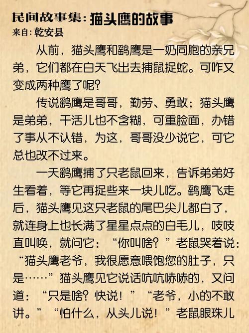 猫头鹰阅读答案三年级