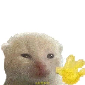 小猫gif动态表情包