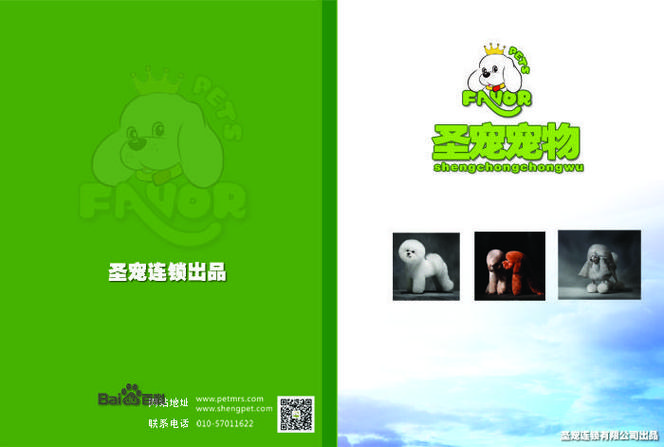 狗狗书籍TXT游戏截图