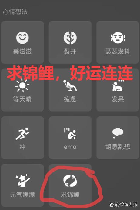 锦鲤网络语什么意思