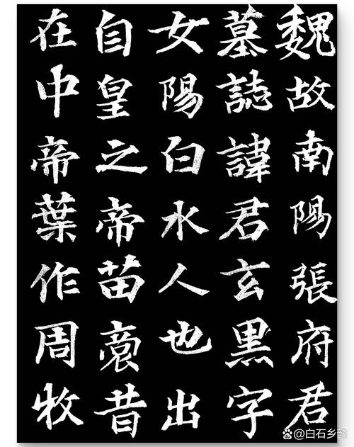 黑色堕落全文免费阅读