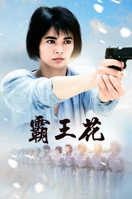 电影霸王花免费观看完整版缩略图