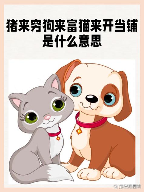 抢猫赚钱是真是假缩略图
