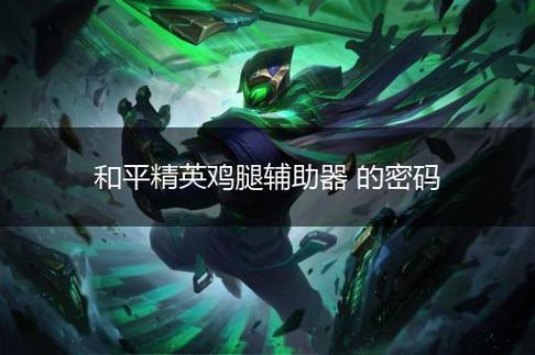 和平精英鸡腿辅助群游戏截图
