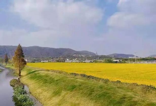 乡村微信朋友圈缩略图