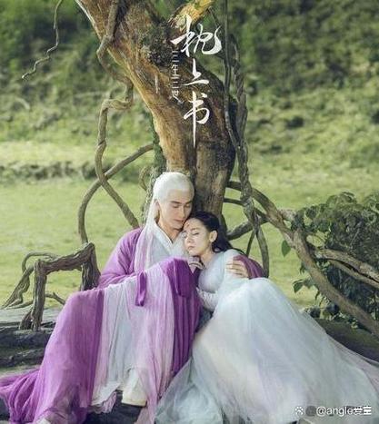 三生三世枕上书原著未删减缩略图
