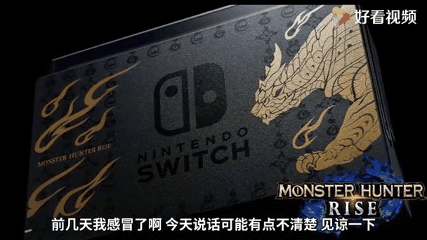 switch 剑盾 金手指缩略图