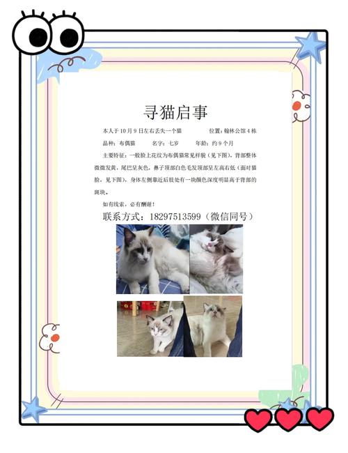 追书猫提现