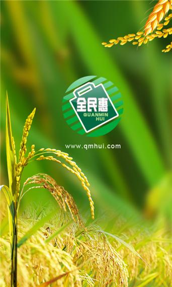 全民惠赚怎么样