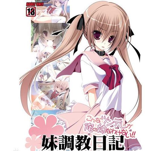 妹调日记汉化版下载安装