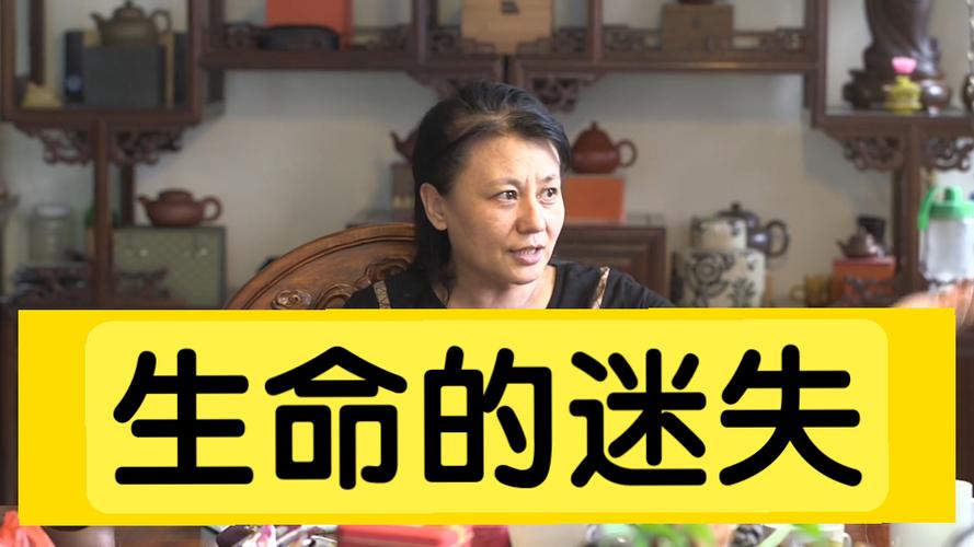 生命迷失1.52游戏截图