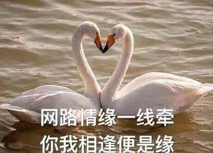 缘牵官网入口游戏截图