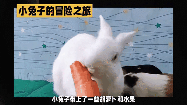 lost小兔子女孩游戏